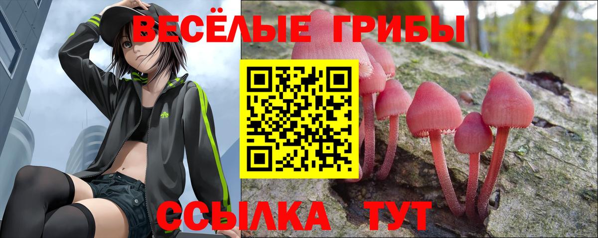 Псилоцибиновые грибы Psilocybe  хочу наркоту  Кунгур  Вход с VPN 